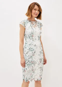 Franky Floral Lace Fitted Dress -TrendLust Verkäufe 220719931 03 franky floral lace fitted dress