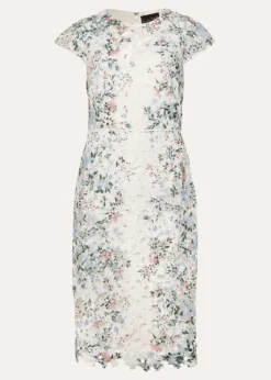 Franky Floral Lace Fitted Dress -TrendLust Verkäufe 220719931 99 franky floral lace fitted dress