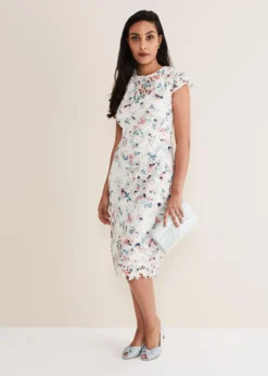 Petite Franky Floral Lace Dress -TrendLust Verkäufe 221352931 03 petite franky floral lace dress