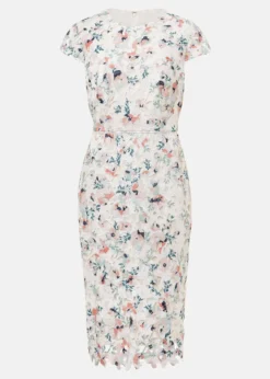 Petite Franky Floral Lace Dress -TrendLust Verkäufe 221352931 99 petite franky floral lace dress